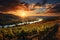 A panoramic view of a French vineyard during sunset, showcasing rows of grapevines and the charming countryside. Generative AI