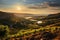 A panoramic view of a French vineyard during sunset, showcasing rows of grapevines and the charming countryside. Generative AI