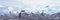 Panoramic view of Gentoo penguins with chicks (Pygoscelis papua), glaciers and icebergs in Paradise Harbor, Antarctica