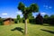 Panoramic view on german garden with green lawn, plane tree, beech hedge and old wooden hut against blue sky