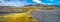 Panoramic view of Glacier Lagoon shore with yellow Icelandic moss, Jokulsarlon, Iceland, summer time