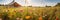 Panoramic view of a glamping tent in a meadow with flowers