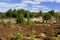 Panoramic view of grassy forest meadows in spring season in central Poland mazovian plateaus near Warsaw