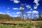 Panoramic view of grassy forest meadows in spring season in central Poland mazovian plateaus near Warsaw