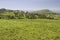 Panoramic view of Great Rift Valley in spring after much rainfall, Kenya, Africa