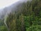 Panoramic view on green Alpine spruce and pine tree forests and meadows near Saint-Gervais-les-Bains, Savoy. France