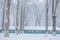A panoramic view of a green barrack, hut, lodge in a dense forest during snowfall. Falling snow winter wonderland