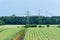 Panoramic view of a green field with a tractor track and high voltage towers, electricity pylons in the distant