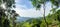 Panoramic view of green forest in the mountains