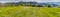 Panoramic view of green grass in vineyard fields