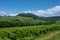 Panoramic view on green hilly vineyards near wine village Chateau-Chalon in Jura, France