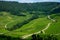 Panoramic view on green hilly vineyards near wine village Chateau-Chalon in Jura, France