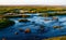 Panoramic view on green moor and swamp landscape in the evening sun with golden shimmering boulders on green grass