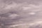 Panoramic view of a group of seagulls flying against a stormy sky-scape