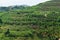 Panoramic view of grove culture and green hill in laqlooq in Mount Lebanon, Lebanon