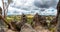 A panoramic view from Hanging Rock in Victoria, Australia