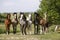 Panoramic view of herd of horses while running home on rural animal farm