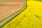 Panoramic view of a highway road between an empty brown and a bright yellow rapeseed field. Biofuel production concept with copy.