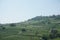 Panoramic view of the hills of the Langhe, Piedmont - Italy