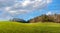 Panoramic view hilly terrain of fields with winter wheat near pine forest