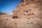 Panoramic view of historical city of Petra, Jordan