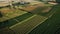 Panoramic view of idyllic Italian farm with striped wheat fields generated by AI