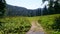 Panoramic view of idyllic mountain landscape