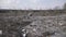 Panoramic view of illegal garbage dump in the city