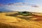 Panoramic view of Italian Tuscany summer landscape of yellow wheat field; agriculture farmland hills