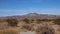 A panoramic view in Joshua Tree National Park. Joshua Tree Yucca brevifolia and Rock Formations. CA