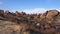 A panoramic view in Joshua Tree National Park. Joshua Tree Yucca brevifolia and Rock Formations. CA