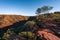 Panoramic view of Kings Canyon, Central Australia, Northern Territory, Australia