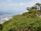 Panoramic view of Kochi city from the top of Mount Godai