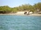 Panoramic view of a lake, with donkeys drinking water