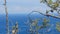 Panoramic view of lake seen through branches.