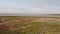 Panoramic view of landswell of Yamal peninsula and Kara sea. Flock of geese flying in the sky over water.