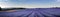 Panoramic view of Lavender field near Valensole