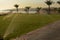 Panoramic view of lawn grass irrigation in desert parks.Sprinkler on a lawn