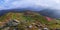 Panoramic view in lawn with rhododendron flowers grow at the rocks. Summer scenery. Majestic photo of mountain landscape.