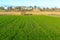 Panoramic view of lines of young shoots on big green field. Plowed agricultural field ready for seed sowing, planting process.