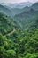 panoramic view of a lush green forest valley
