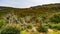 Panoramic view of magical colorful fairytale forest at Tierra del Fuego National Park, Beagle Channel, Patagonia, Argentina