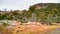 Panoramic view of magical colorful fairytale forest at Tierra del Fuego National Park, Beagle Channel, Patagonia, Argentina