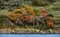 Panoramic view of magical colorful fairytale forest at Tierra del Fuego National Park, Beagle Channel, Patagonia, Argentina