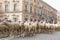 Panoramic view of the main street of Madrid full of sheep passing quietly guided by their shepherds.