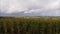 Panoramic View | Maize Field | Farm Landscape, UK