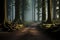 Panoramic view of the majestic evergreen forest in a morning fog. Mighty tree silhouettes. Atmospheric dreamlike autumn landscape
