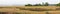 Panoramic view of marsh