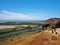 Panoramic view of a marsh land, San Francisco Bay