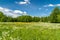 Panoramic view in Masurian Landscape Park Polish: Mazurski Park Krajobrazowy